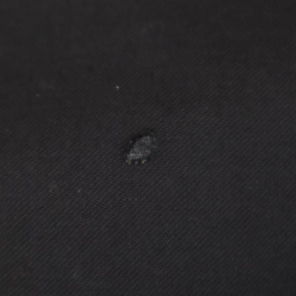 FENDI フェンディ イタリア製 長袖 ウール100％ テーラードジャケット 46 ブラック メンズ