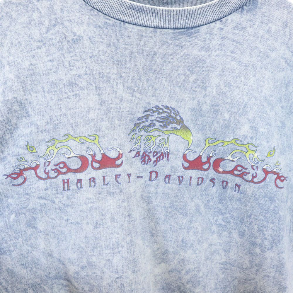 HARLEY DAVIDSON ハーレーダビッドソン プリント 半袖 Tシャツ L ブルー系 メンズ
