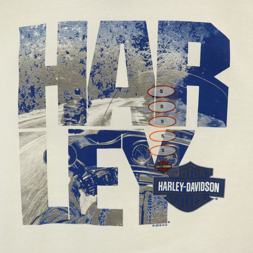 ハーレーダビッドソン 半袖 Tシャツ S ホワイト HARLEY DAVIDSON メンズ