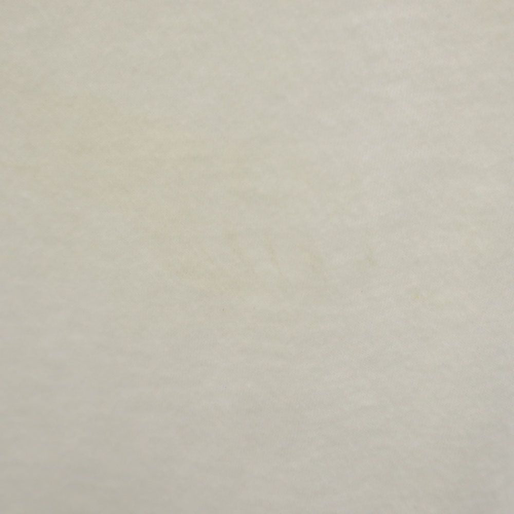 ザノースフェイス アウトドア 半袖 Tシャツ S ホワイト THE NORTH FACE メンズ