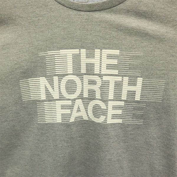 ザノースフェイス NT81980Z アウトドア プリント 半袖 Tシャツ M グレー THE NORTH FACE メンズ