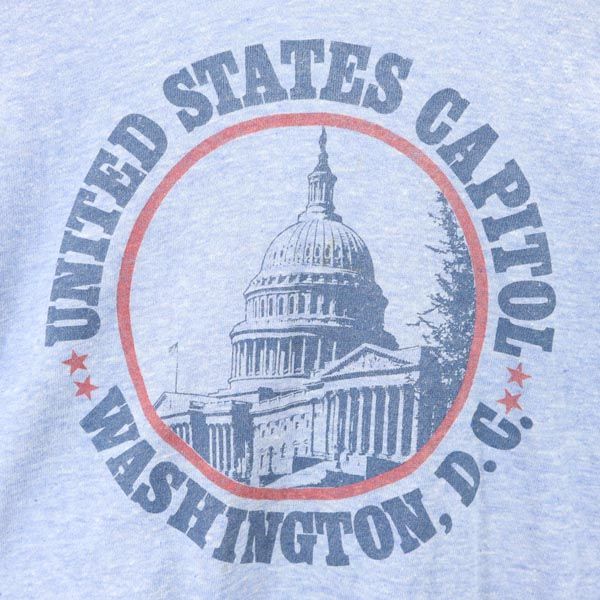 ヘインズ 70s USA製 ヴィンテージ リンガー プリント 半袖 Tシャツ S 青系 Hanes トリム メンズ