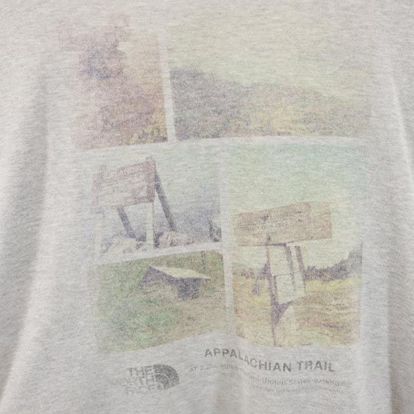 THE NORTH FACE ノースフェイス NT31484 プリント 半袖 Tシャツ L グレー アウトドア メンズ
