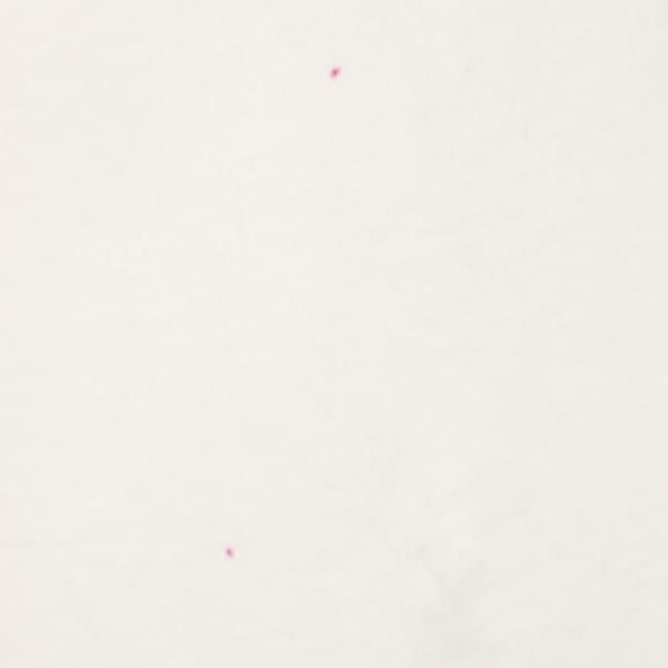 MAISON KITSUNE メゾンキツネ 半袖 Tシャツ S 白系 メンズ