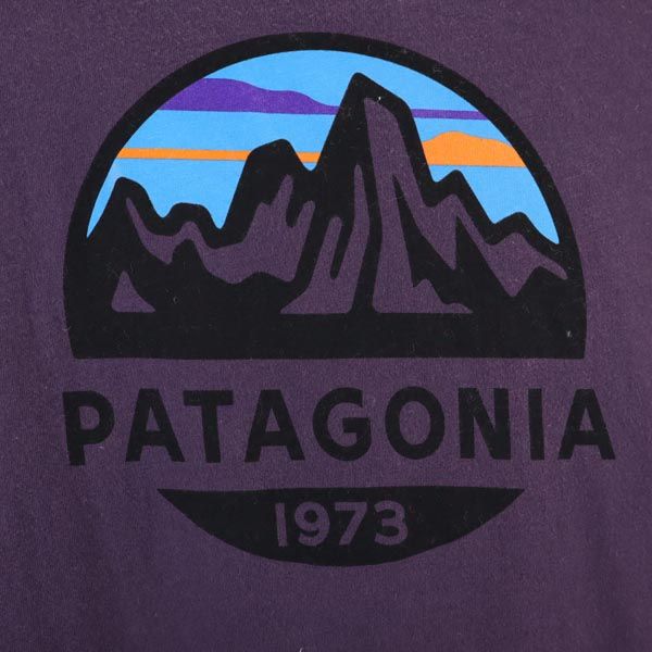 パタゴニア アウトドア 半袖 Tシャツ M パープル系 patagonia メンズ