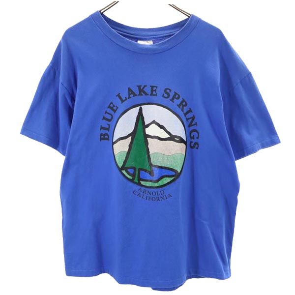 Hanes ヘインズ 90s オールド USA製 半袖 Tシャツ L42-44 ブルー系 メンズ