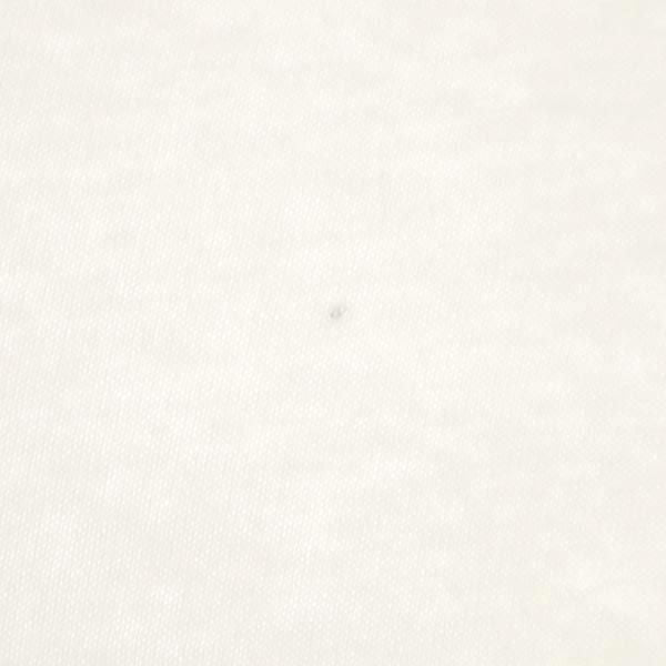 フルーツオブザルーム 90s オールド USA製 3Dプリント 半袖 Tシャツ M ホワイト系 FRUIT OF THE LOOM メンズ