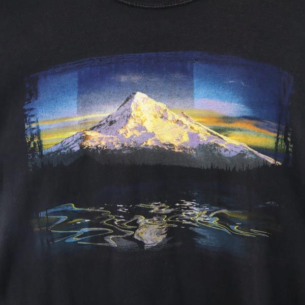 SOFFE ソフィー USA製 オールド プリント 半袖 Tシャツ M ブラック メンズ