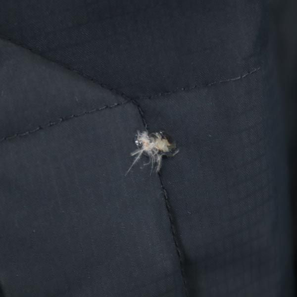 ヘリーハンセン ダウンジャケット XL ブラック系 HELLY HANSEN ロゴ 刺繍 メンズ