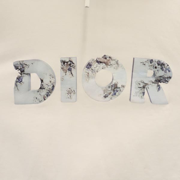 Dior ディオール プリント 長袖 スウェットパーカー L ホワイト 裏起毛 プルオーバー レディース