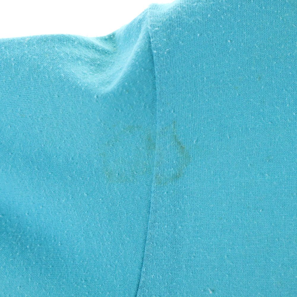 sportswear スポーツウェア 70s 80s USA製 ヴィンテージ プリント 半袖 Tシャツ M 水色 メンズ