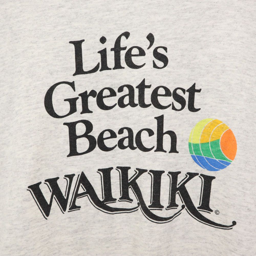 Hanes ヘインズ ヘビーウェイト USA製 プリント 半袖 Tシャツ L グレー系 メンズ