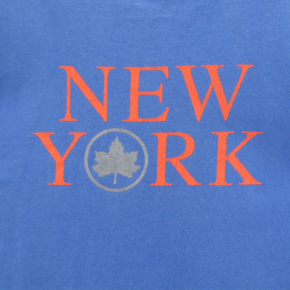 Lafayette ラファイエット 半袖 Tシャツ M ブルー メンズ