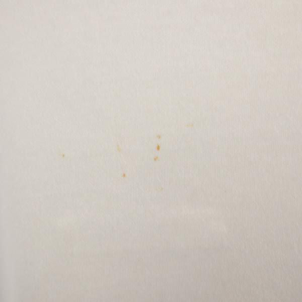 MAISON KITSUNE メゾンキツネ プリント 半袖 Tシャツ S ホワイト系 メンズ