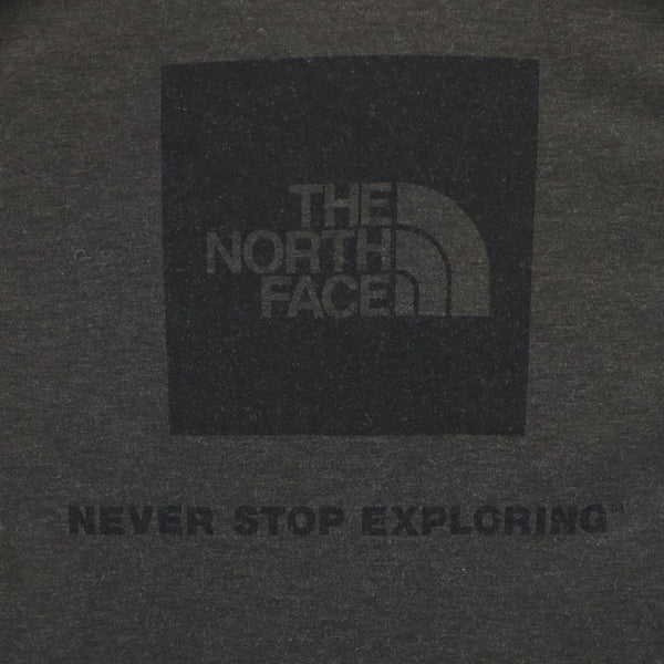 ノースフェイス NT62174 アウトドア バックプリント 長袖 Tシャツ L グレー THE NORTH FACE ロンT メンズ