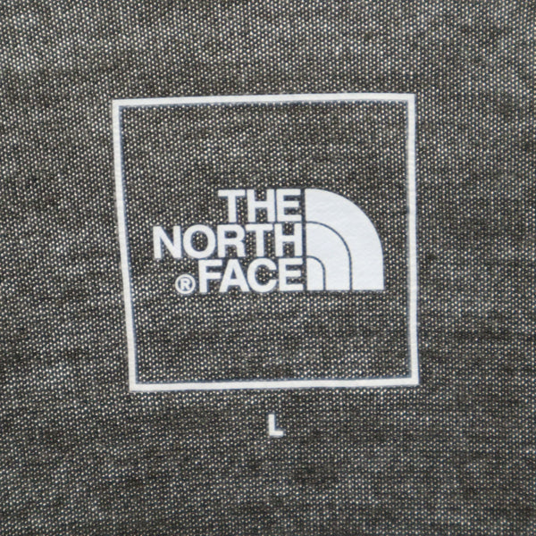 ノースフェイス NT62174 アウトドア バックプリント 長袖 Tシャツ L グレー THE NORTH FACE ロンT メンズ