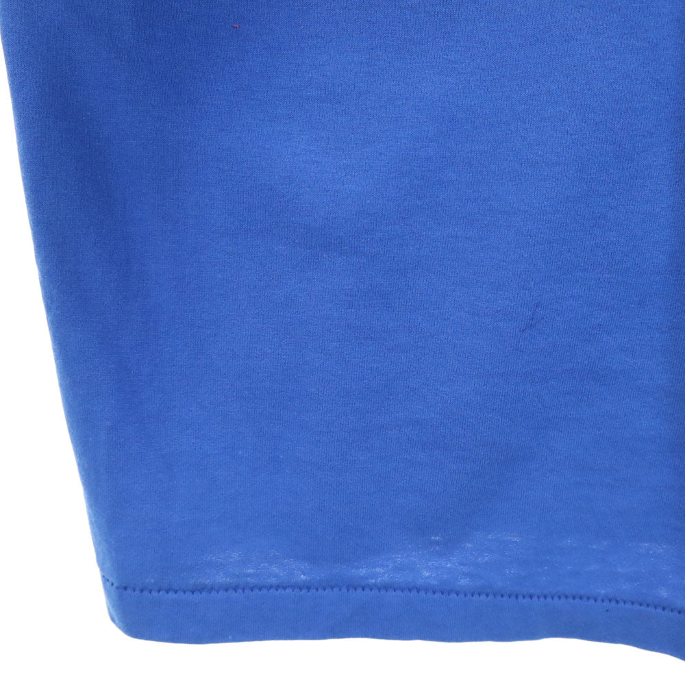 Hanes ヘインズ 90s プリント 半袖 シングルステッチ Tシャツ L ブルー系 オールド ヴィンテージ メンズ