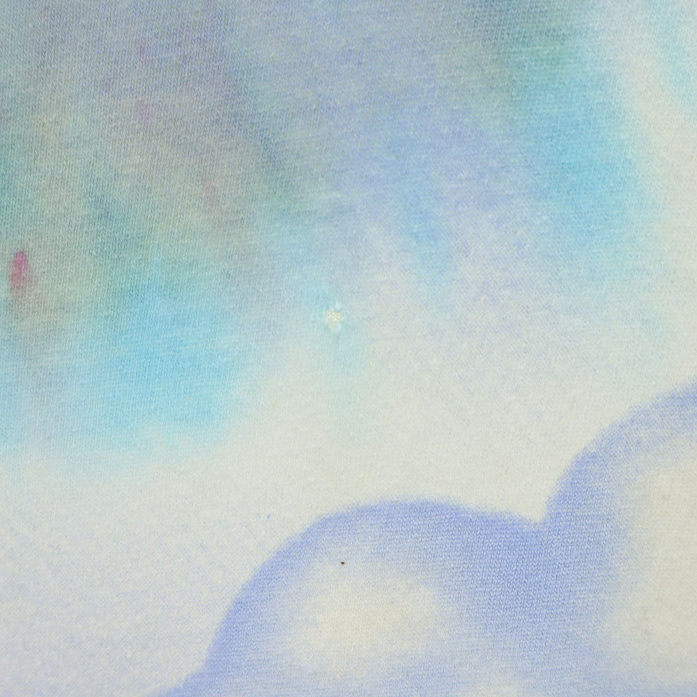 ONEITA オニータ 90s USA製 タイダイ柄 半袖 オールマン・ブラザーズ・バンド Tシャツ L グレージュ バンT ロックバンド The Allman Brothers Band オールド ヴィンテージ メンズ