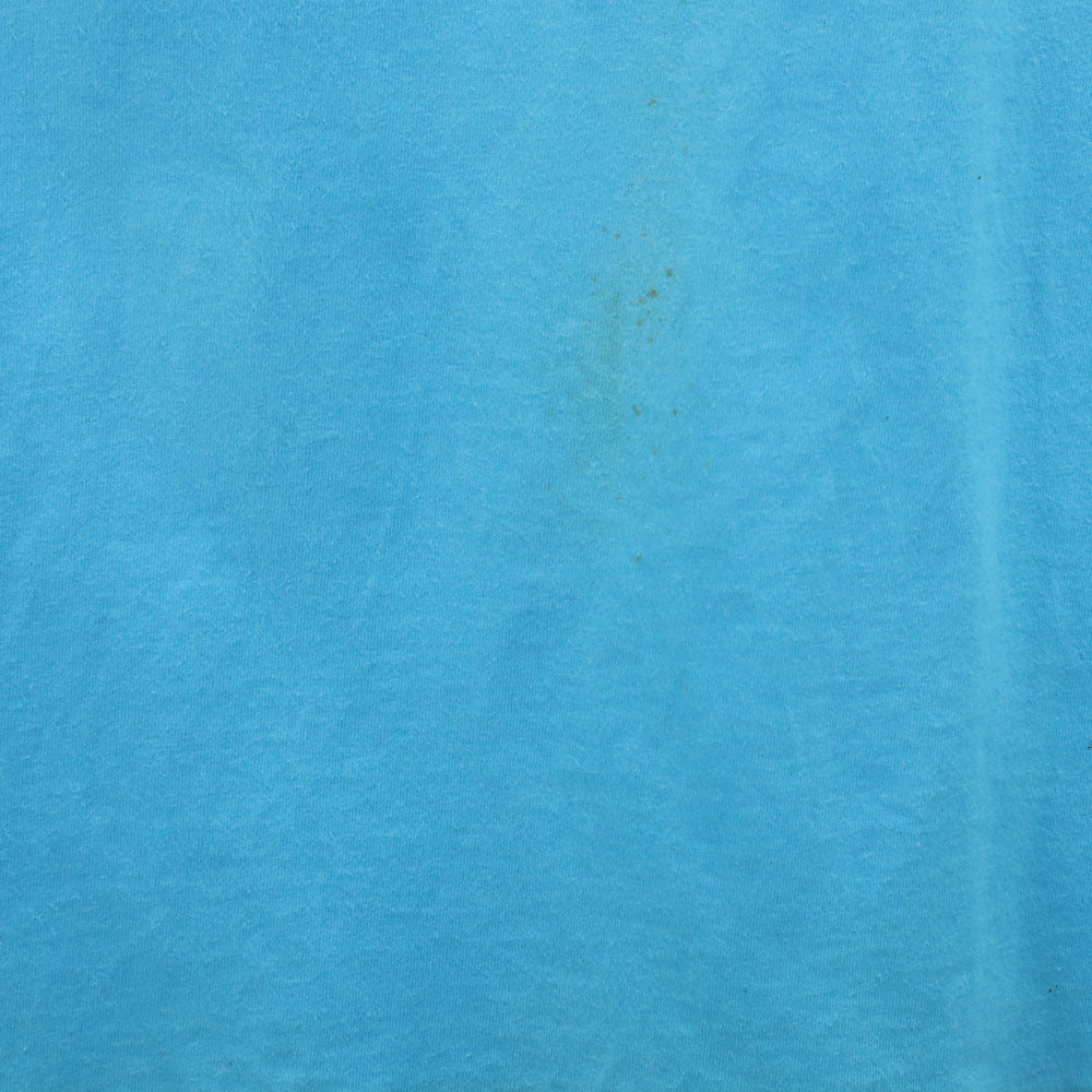 シグナル スポーツ 90s USA製 牛 半袖 LIFESTYLES Tシャツ L 水色 シングルステッチ オールド ヴィンテージ メンズ