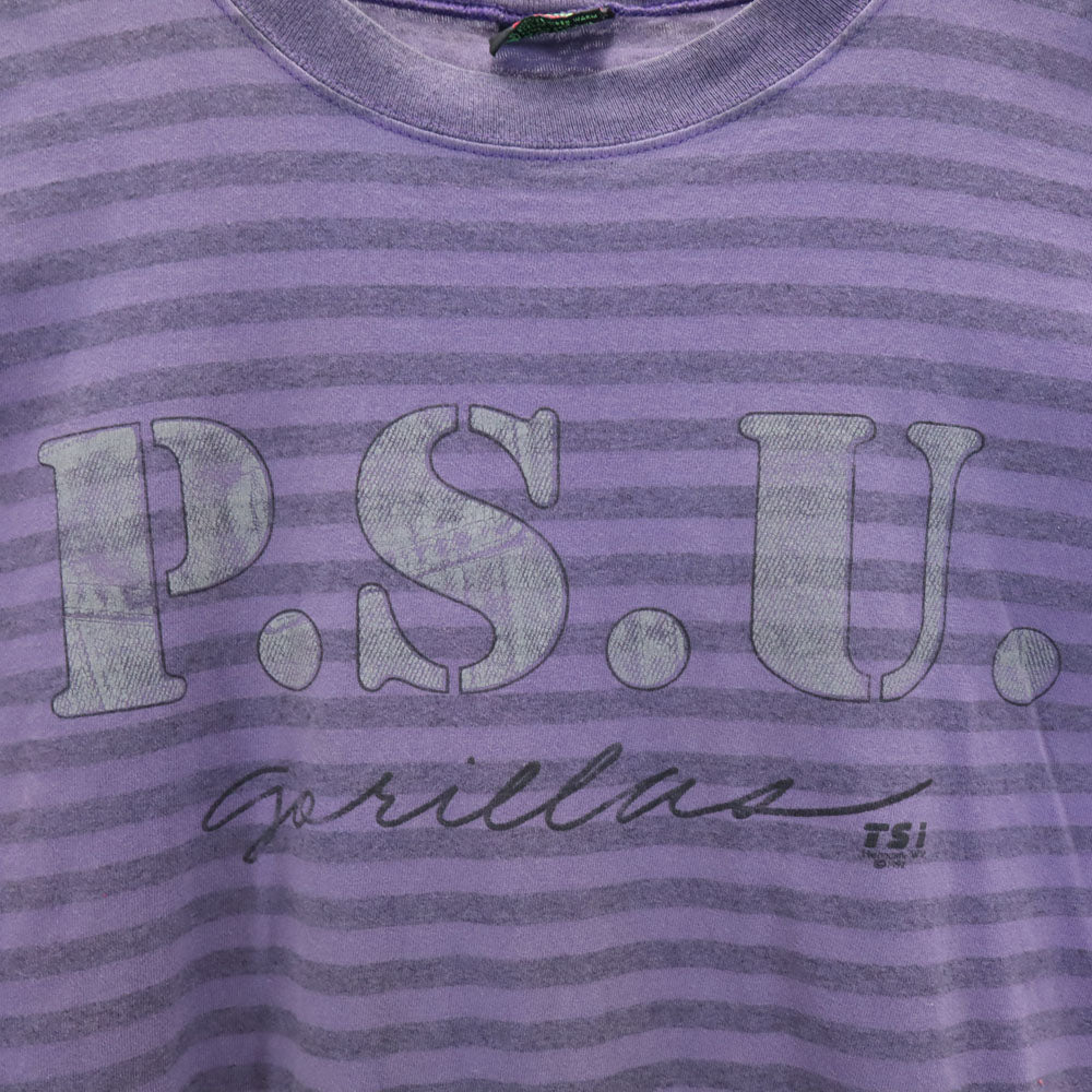 TSi 90s USA製 ボーダー柄 半袖 シングルステッチ Tシャツ M パープル オールド ヴィンテージ メンズ