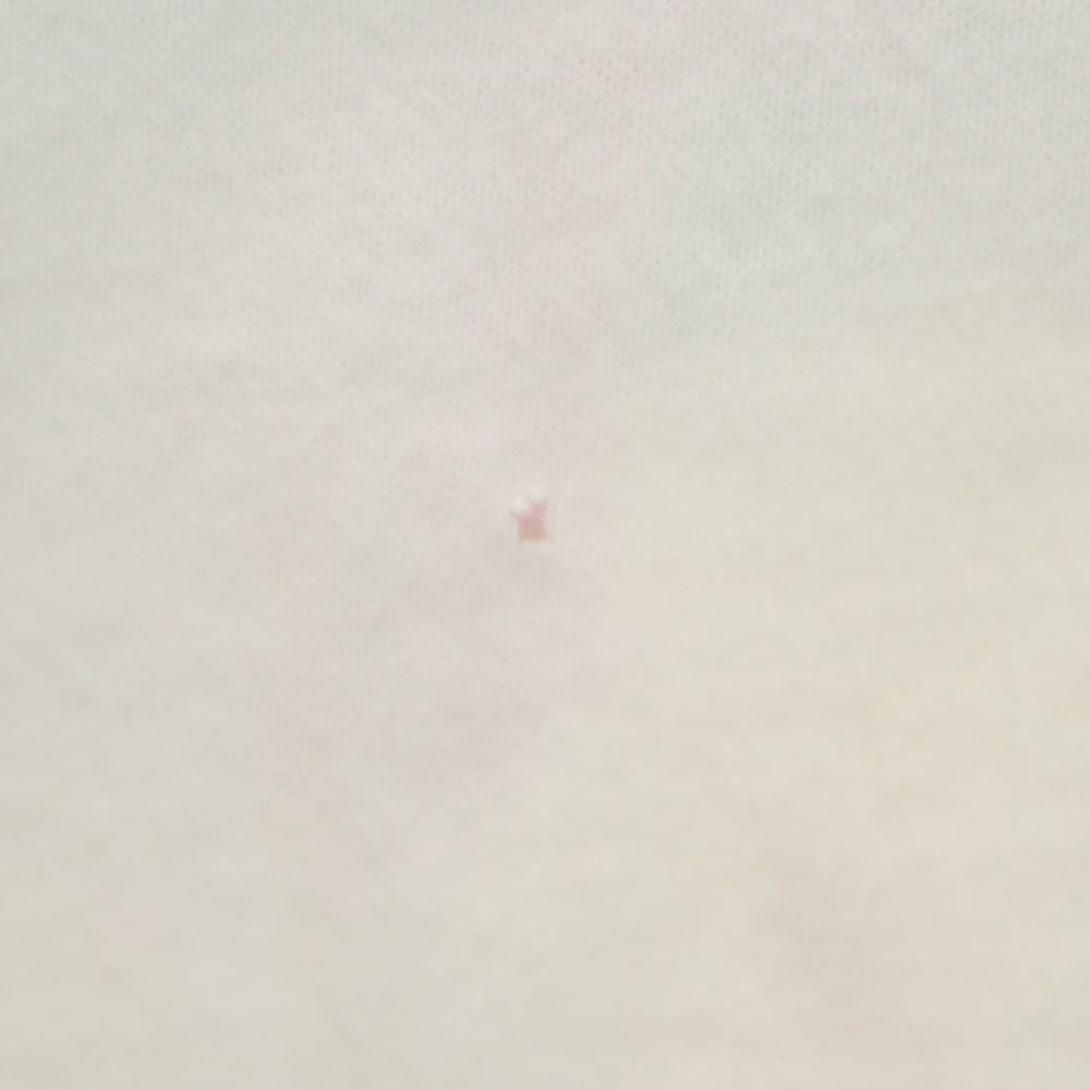 FRUIT OF THE LOOM フルーツオブザルーム 90s USA製 半袖 シングルステッチ Tシャツ M ホワイト テニス オールド ヴィンテージ メンズ