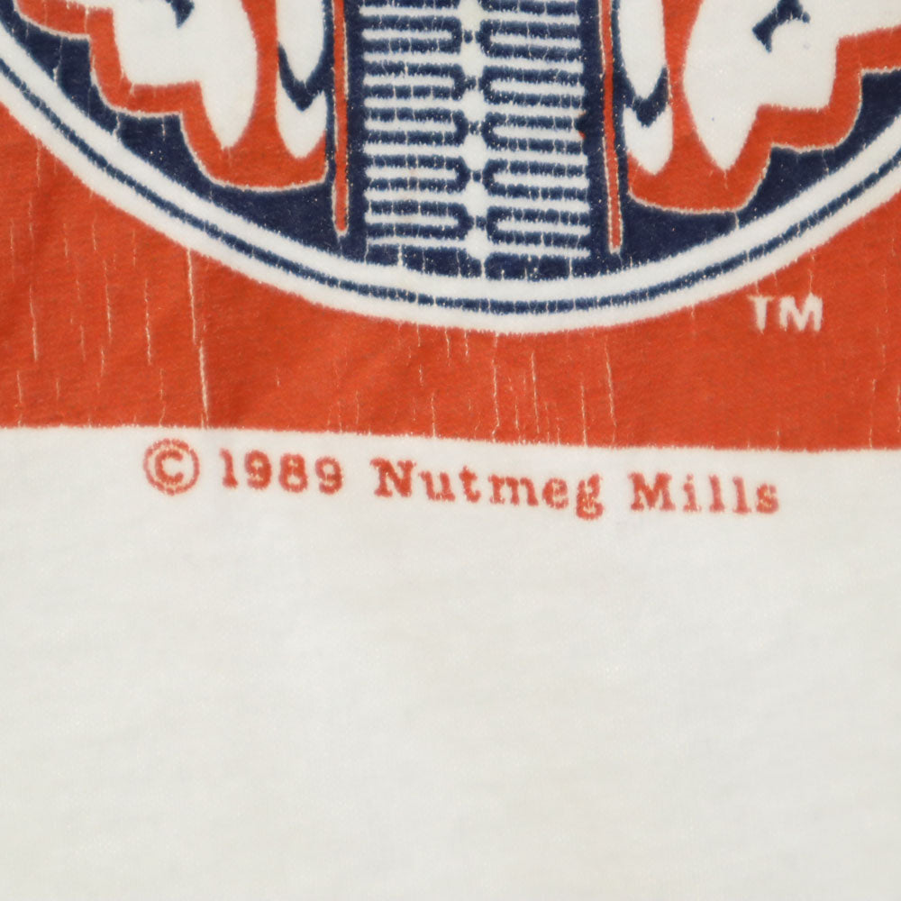 ナツメグ 80s USA製 イリノイ ファイティング 半袖 Tシャツ ONESIZE ホワイト NUTMEG ビッグサイズ ILLINOIS ILLINI カレッジ シングルステッチ オールド ヴィンテージ メンズ