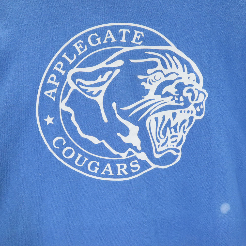 オニータ 90s USA製 APPLEGATE COUGARS 半袖 Tシャツ XL ブルー ONEITA POWER-T シングルステッチ オールド ヴィンテージ メンズ