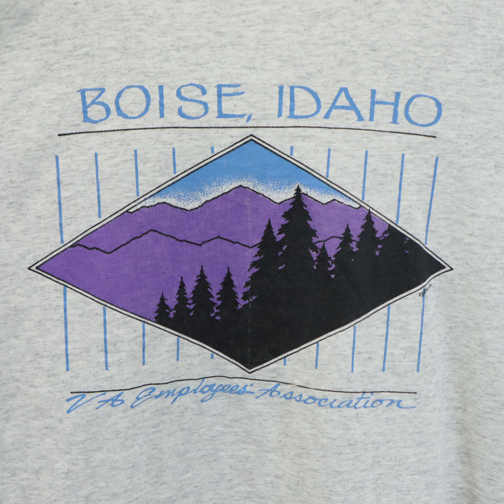 ヘインズ 90s USA製 プリント 半袖 Tシャツ XL グレー系 Hanes シングルステッチ オールド メンズ