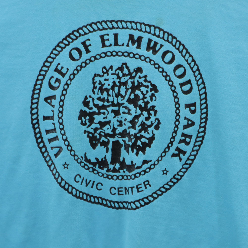 FRUIT OF THE LOOM フルーツオブザルーム 90s USA製 半袖 シングルステッチ オールド Tシャツ 14-16 水色 BEST キッズ