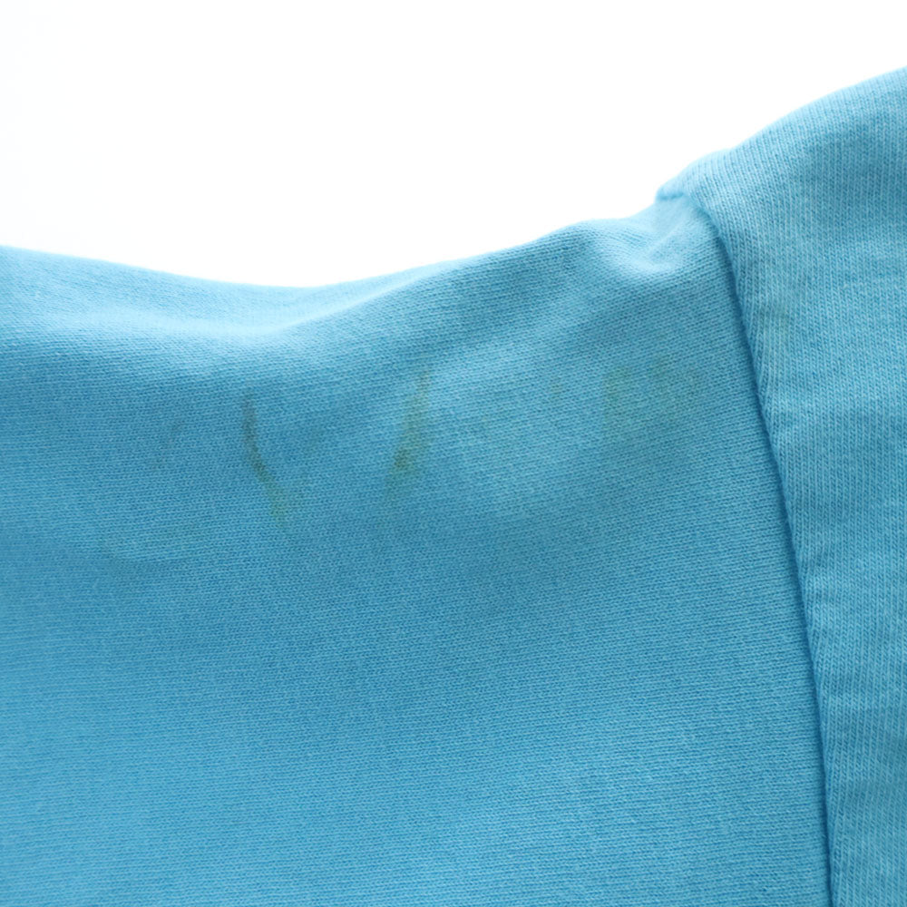 FRUIT OF THE LOOM フルーツオブザルーム 90s USA製 半袖 シングルステッチ オールド Tシャツ 14-16 水色 BEST キッズ