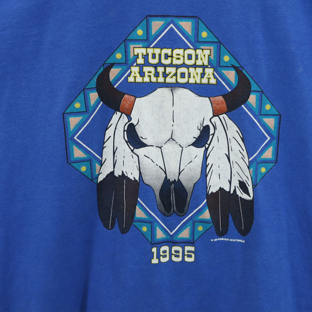 FRUIT OF THE LOOM フルーツオブザルーム 90s USA製 ネイティブプリント 半袖 ツーソン アリゾナ Tシャツ XXL ブルー BEST シングルステッチ オールド TUCSON ARIZONA ビッグサイズ メンズ