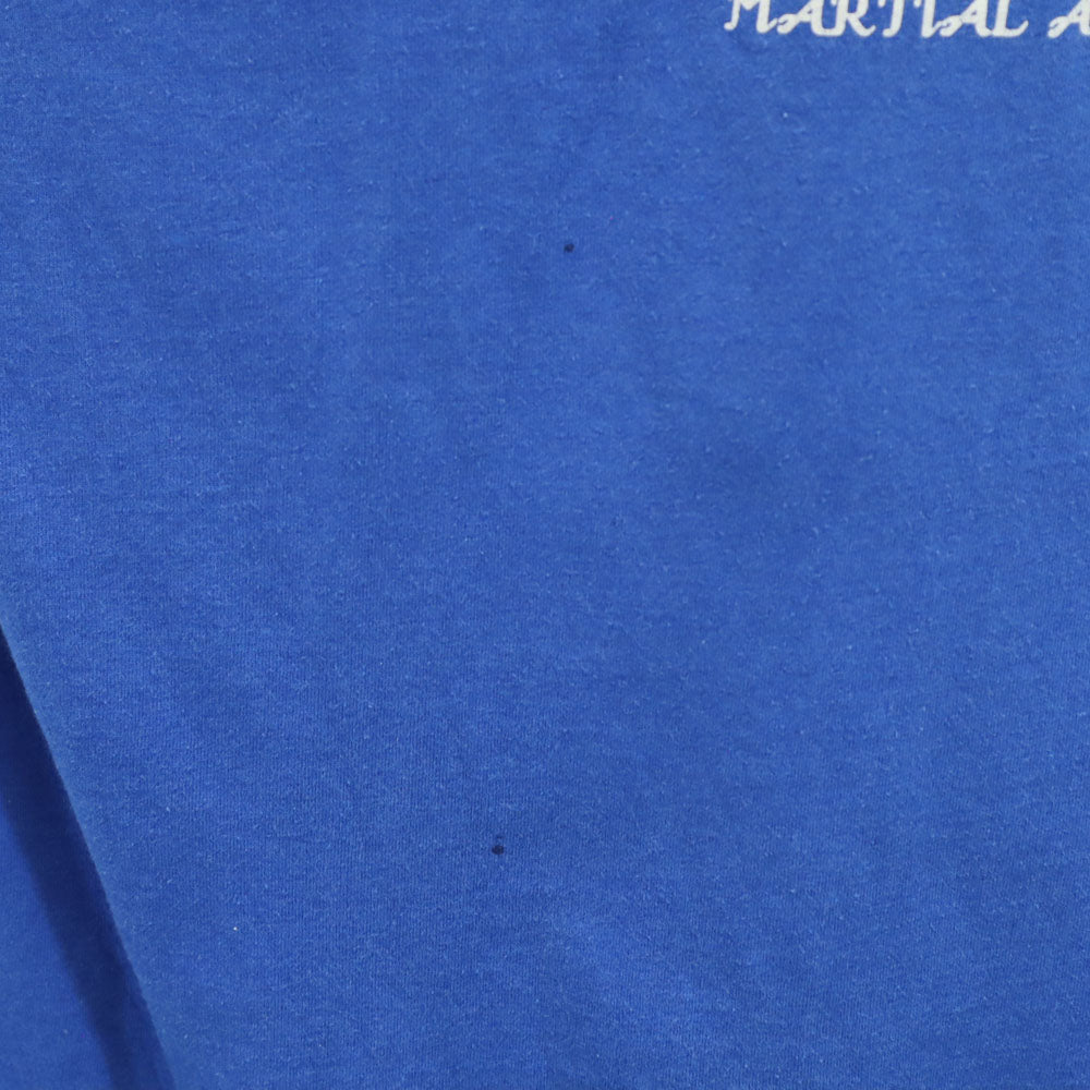 スクリーンスターズベスト 90s USA製 バックプリント 半袖 シングルステッチ オールド Tシャツ XL ブルー SCREEN STARS BEST メンズ