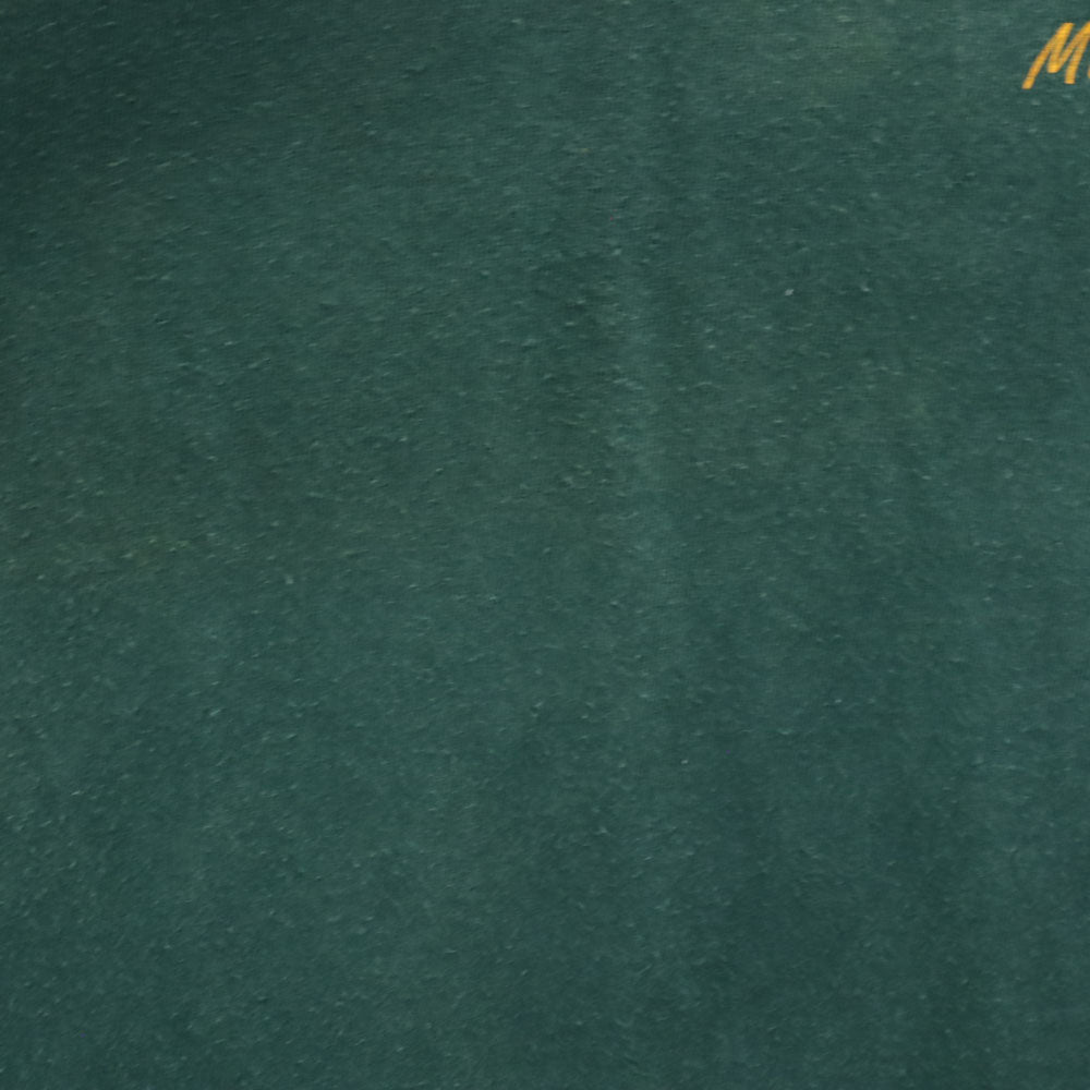 SOFFE ソフィー 80s 90s イーグルプリント 半袖 シングルステッチ オールド Tシャツ L グリーン メンズ