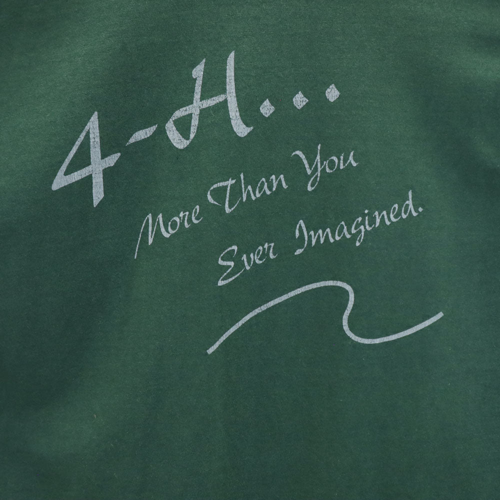 フルーツオブザルーム 90s USA製 オールド 半袖 シングルステッチ Tシャツ L グリーン FRUIT OF THE LOOM メンズ