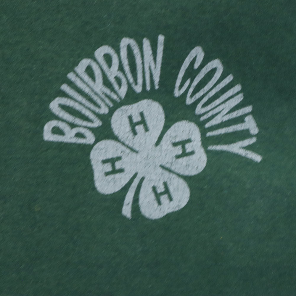 フルーツオブザルーム 90s USA製 オールド 半袖 シングルステッチ Tシャツ L グリーン FRUIT OF THE LOOM メンズ