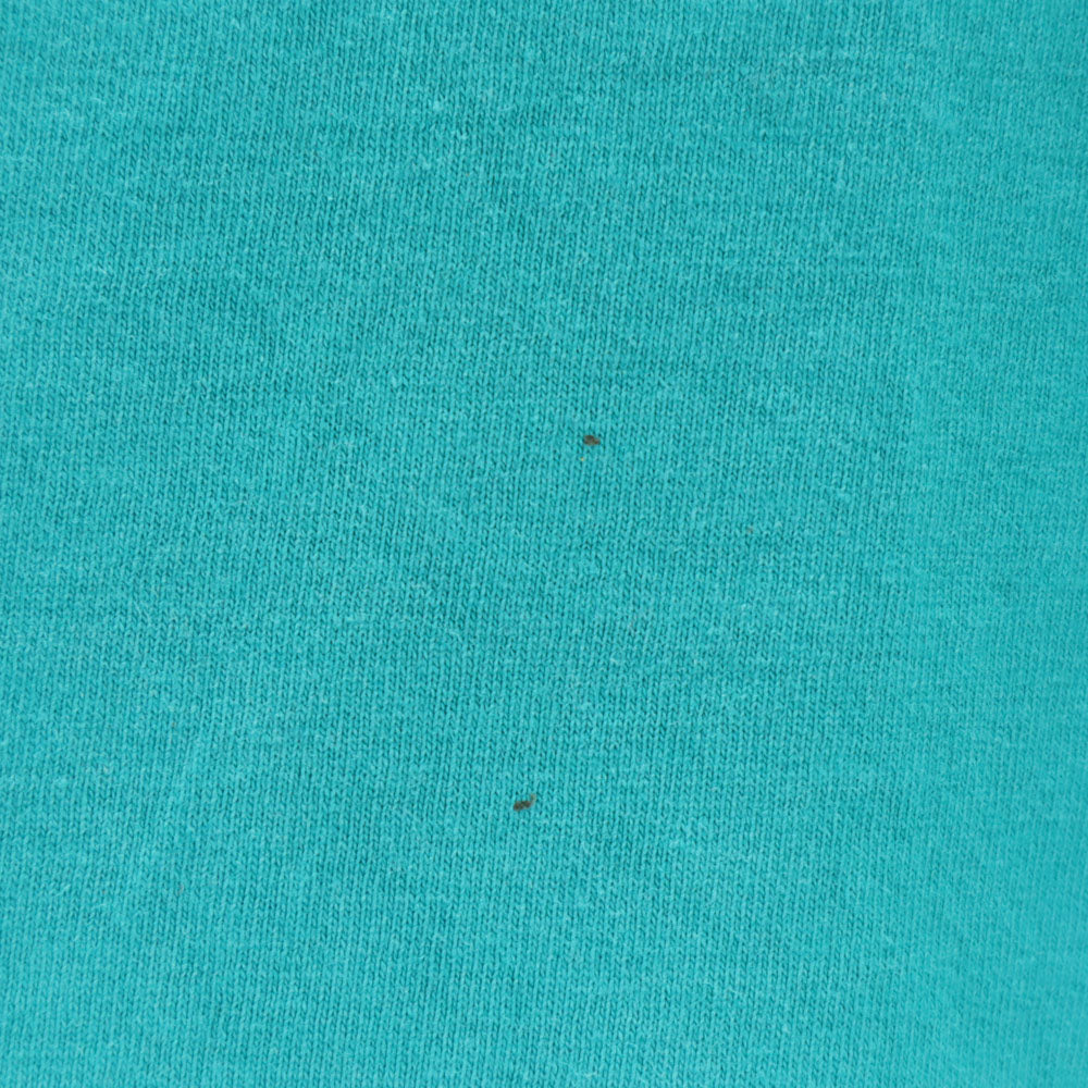 Ovejita 90s 半袖 シングルステッチ オールド Tシャツ L ブルー系 メンズ