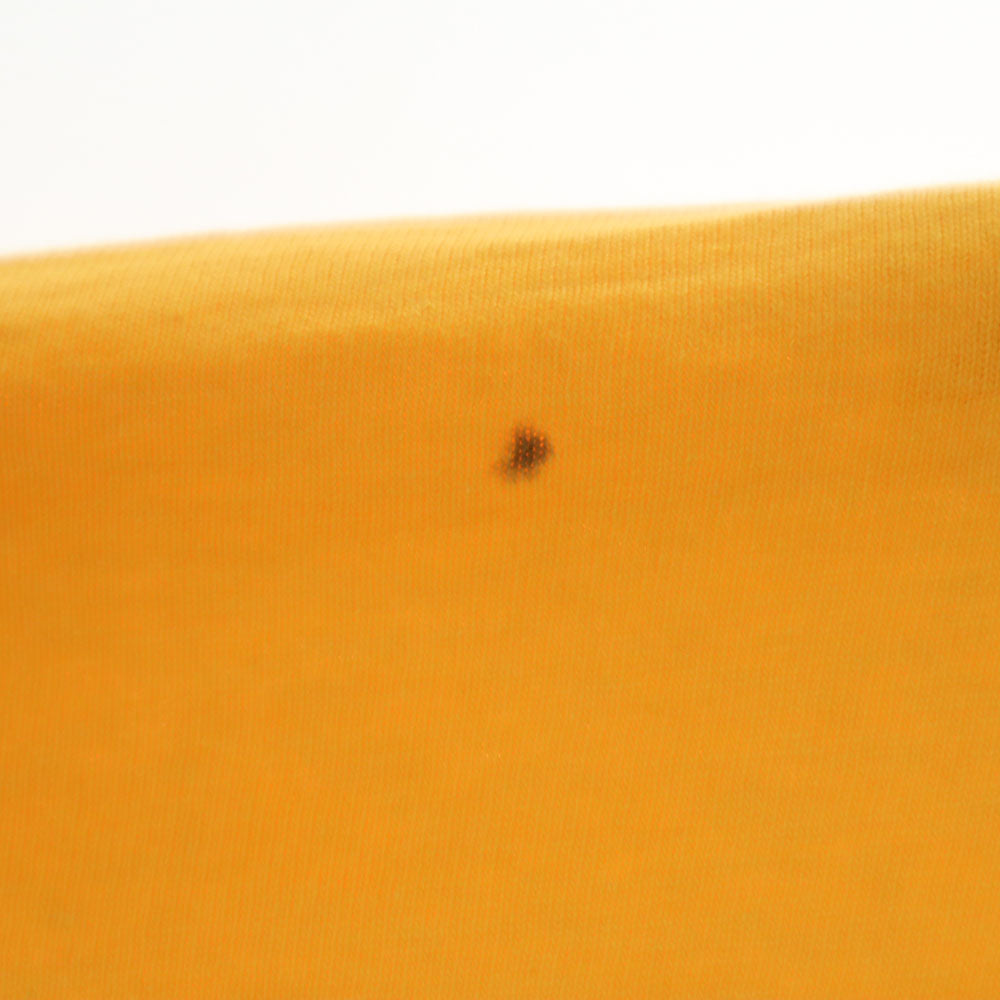 FRUIT OF THE LOOM フルーツオブザルーム 90s USA製 オールド 半袖 シングルステッチ Tシャツ XXL イエロー系 ビックサイズ メンズ