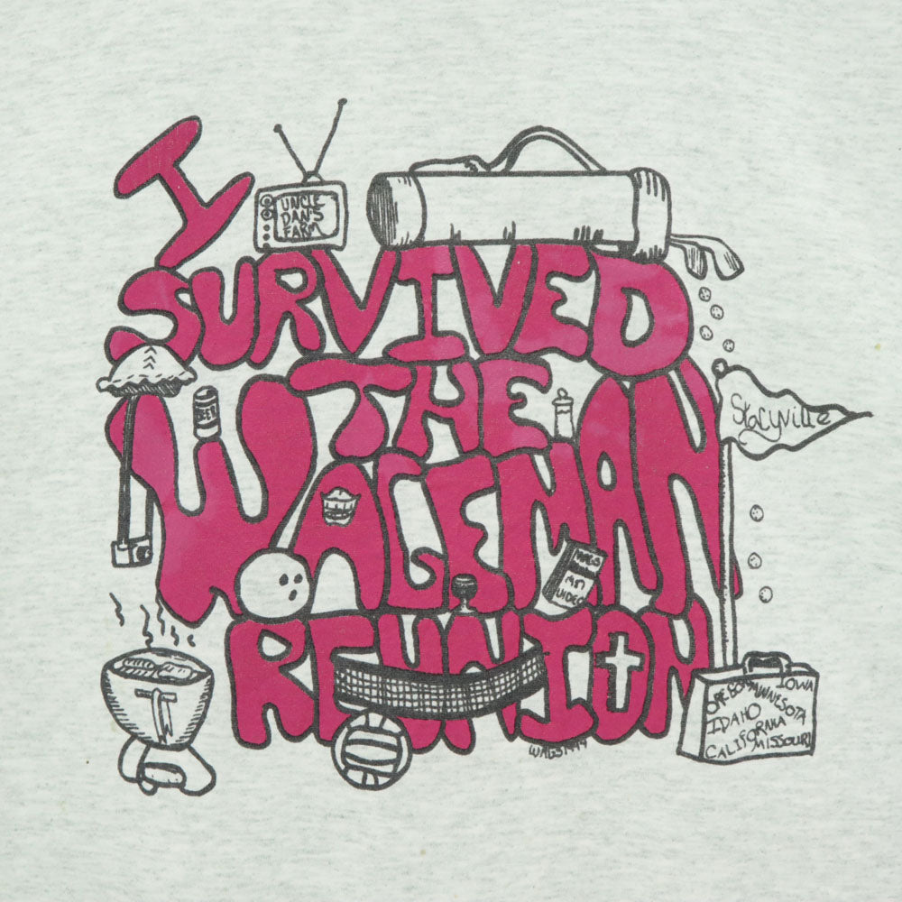 FRUIT OF THE LOOM フルーツオブザルーム 90s USA製 オールド 半袖 シングルステッチ Tシャツ XL グレー メンズ