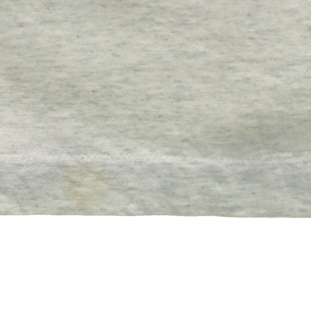 FRUIT OF THE LOOM フルーツオブザルーム 90s USA製 オールド 半袖 シングルステッチ Tシャツ XL ライトグレー BEST メンズ