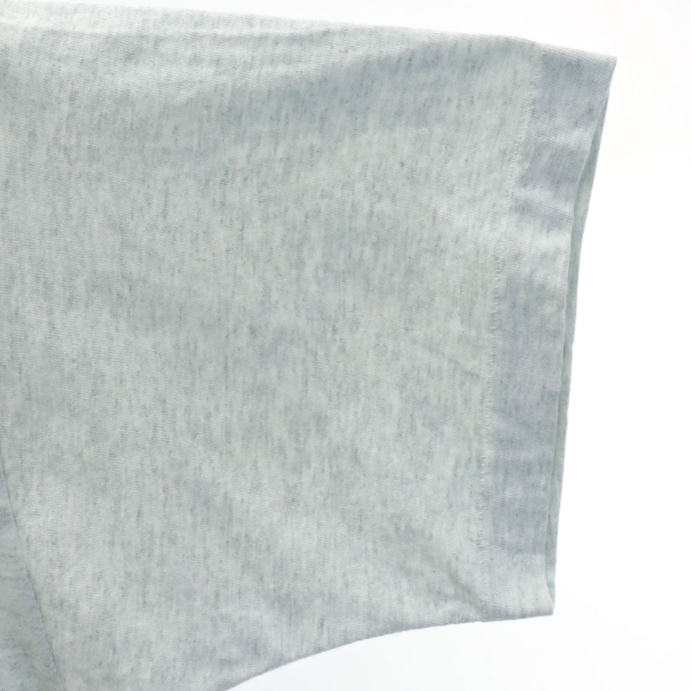 FRUIT OF THE LOOM フルーツオブザルーム 90s USA製 オールド プリント 半袖 シングルステッチ Tシャツ XL グレー系 メンズ