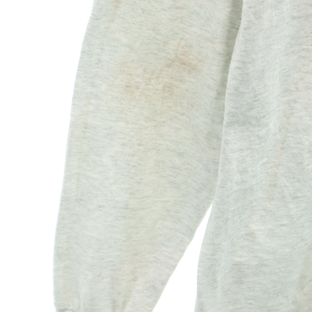 FRUIT OF THE LOOM フルーツオブザルーム 90s USA製 オールド プリント 長袖 シングルステッチ Tシャツ XL グレー系 ロンT メンズ