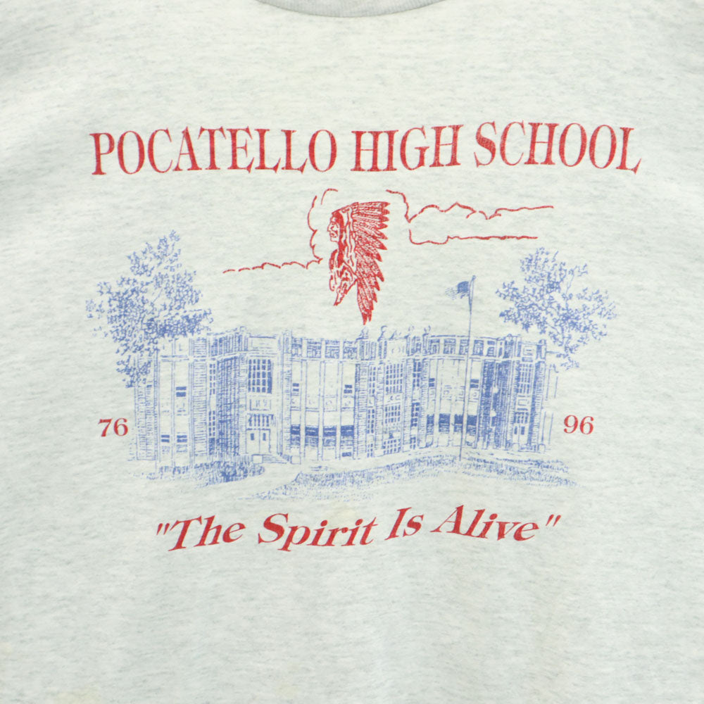 FRUIT OF THE LOOM フルーツオブザルーム 90s USA製 オールド プリント 長袖 シングルステッチ Tシャツ XL グレー系 ロンT メンズ