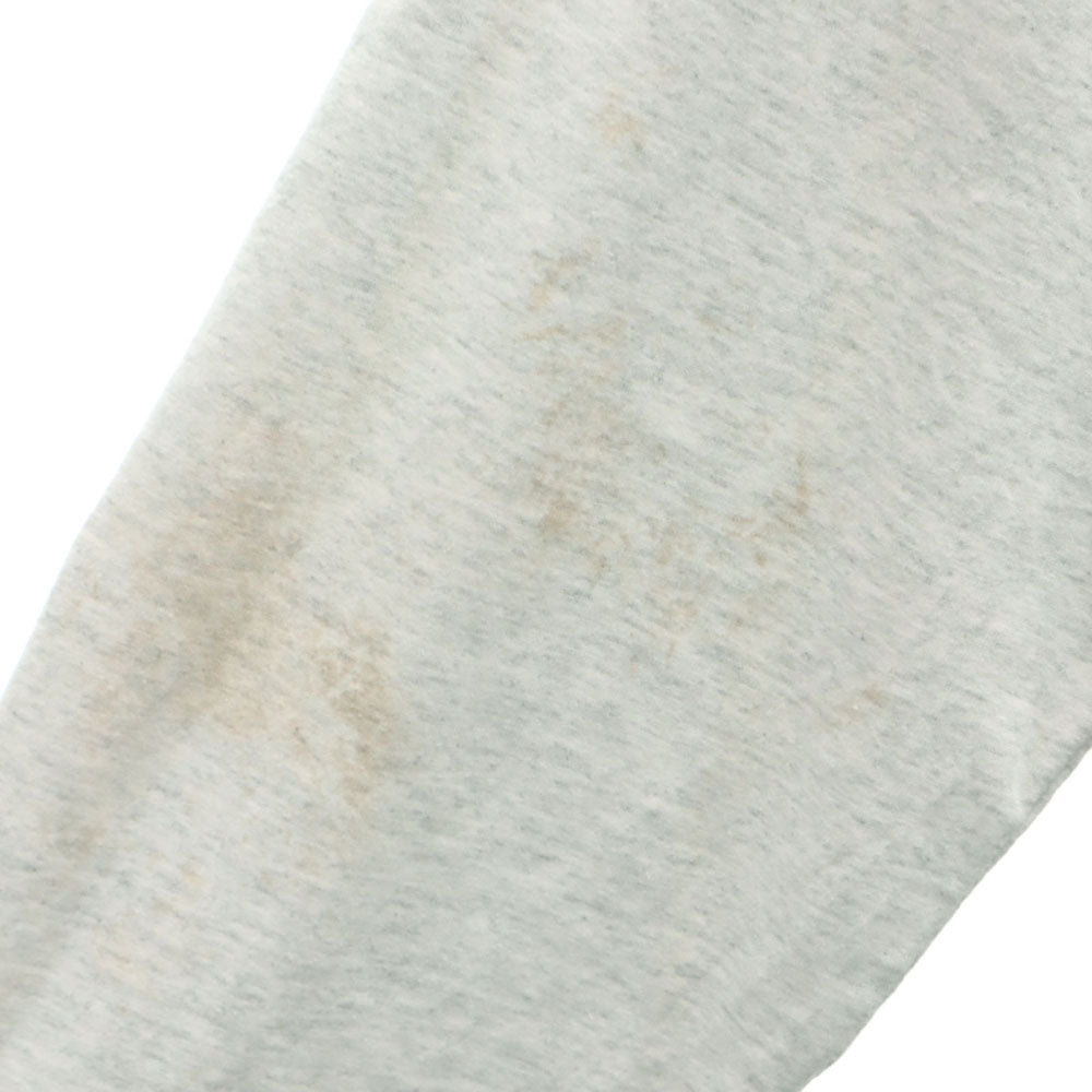 FRUIT OF THE LOOM フルーツオブザルーム 90s USA製 オールド プリント 長袖 シングルステッチ Tシャツ XL グレー系 ロンT メンズ