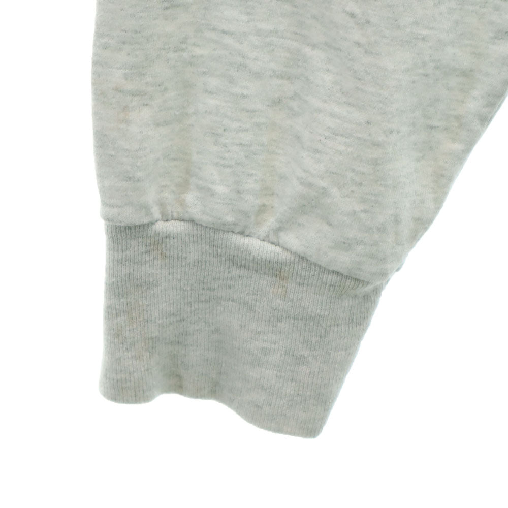 FRUIT OF THE LOOM フルーツオブザルーム 90s USA製 オールド プリント 長袖 シングルステッチ Tシャツ XL グレー系 ロンT メンズ