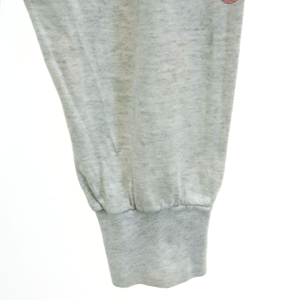 FRUIT OF THE LOOM フルーツオブザルーム 90s USA製 オールド 袖プリ 長袖 シングルステッチ Tシャツ XXL グレー ロンT メンズ