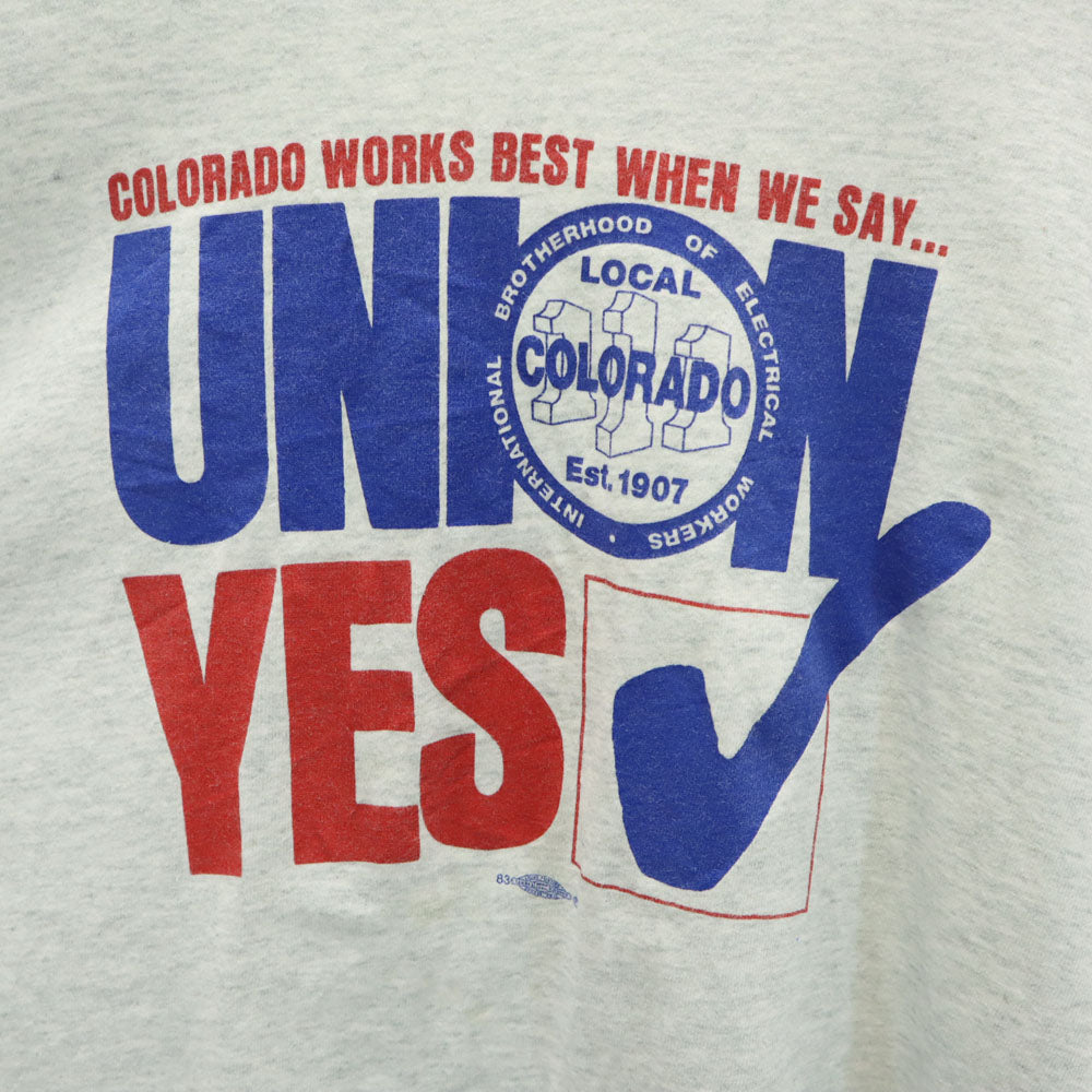 FRUIT OF THE LOOM フルーツオブザルーム 90s USA製 オールド 袖プリ 長袖 シングルステッチ Tシャツ XXL グレー ロンT メンズ