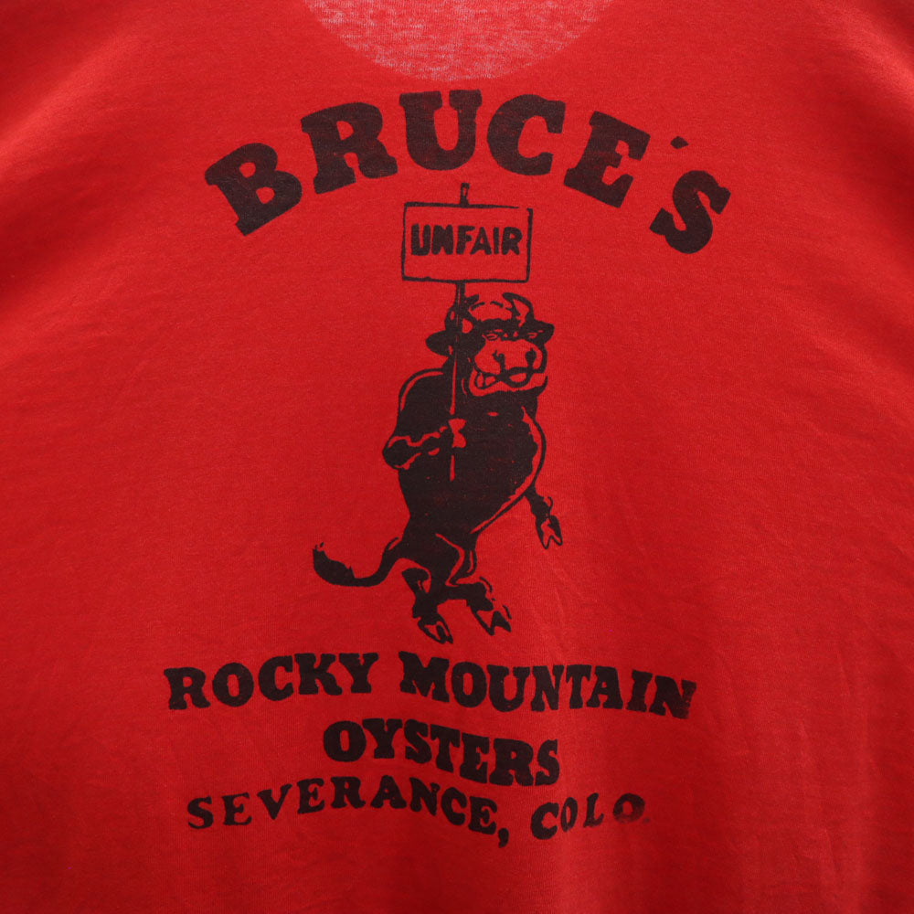 FRUIT OF THE LOOM フルーツオブザルーム 90s USA製 オールド BRUCE'S 長袖 Tシャツ XL レッド BEST ロンT シングルステッチ アニマル メンズ