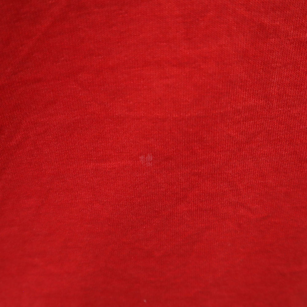 FRUIT OF THE LOOM フルーツオブザルーム 90s USA製 オールド BRUCE'S 長袖 Tシャツ XL レッド BEST ロンT シングルステッチ アニマル メンズ