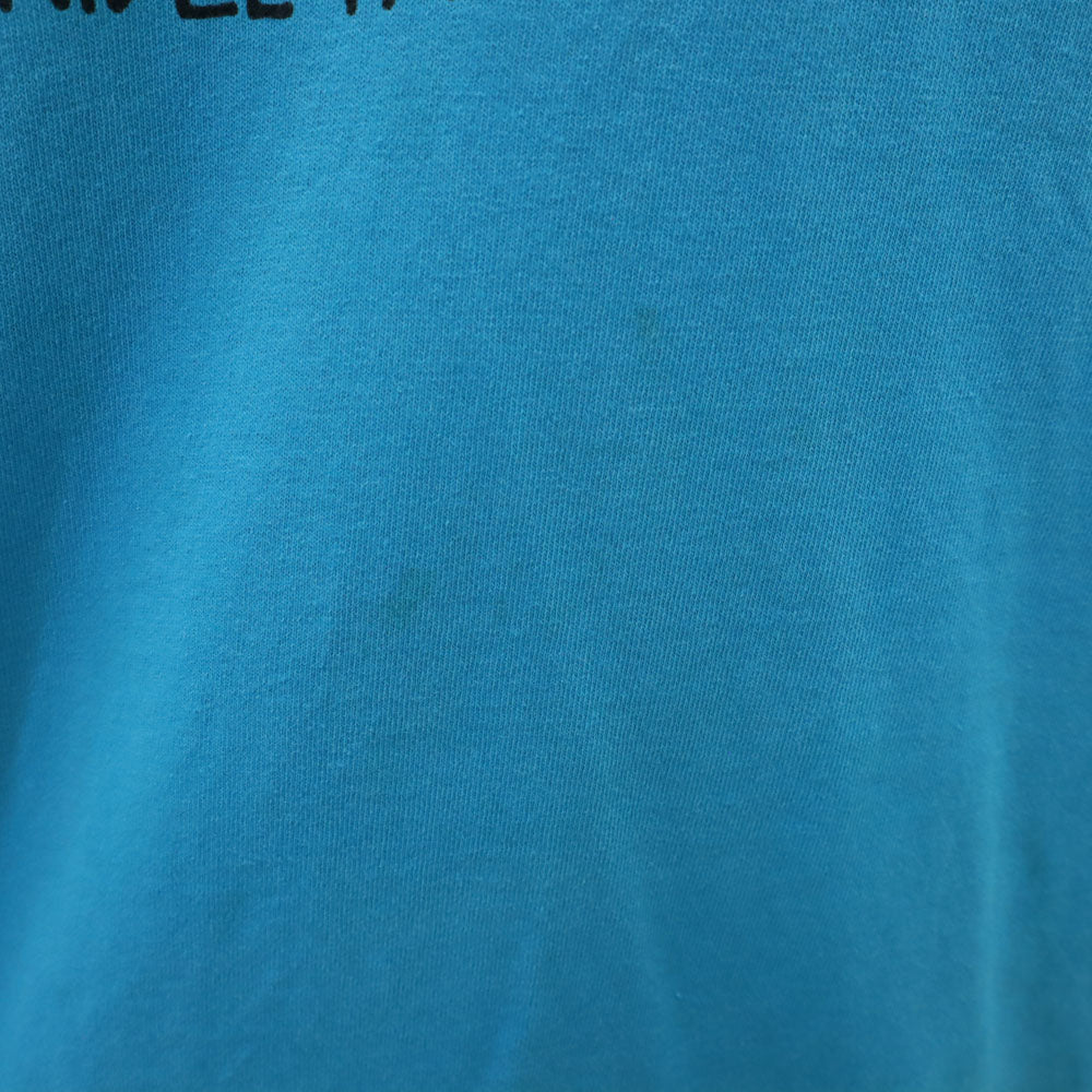 FRUIT OF THE LOOM フルーツオブザルーム 90s USA製 オールド 切り返し シャーク 半袖 Tシャツ XL 水色 シングルステッチ メンズ