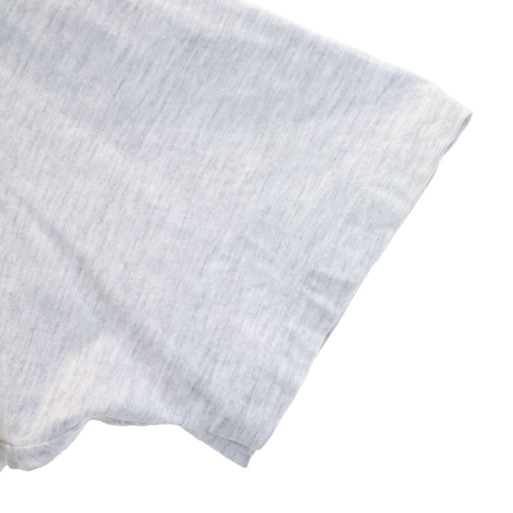 Hanes ヘインズ 90s USA製 オールド シングルステッチ バックプリント 半袖 Tシャツ XL グレー メンズ